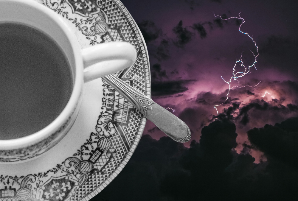 A population that loves a storm in a teacup (but scatters when it hears rolling thunder)